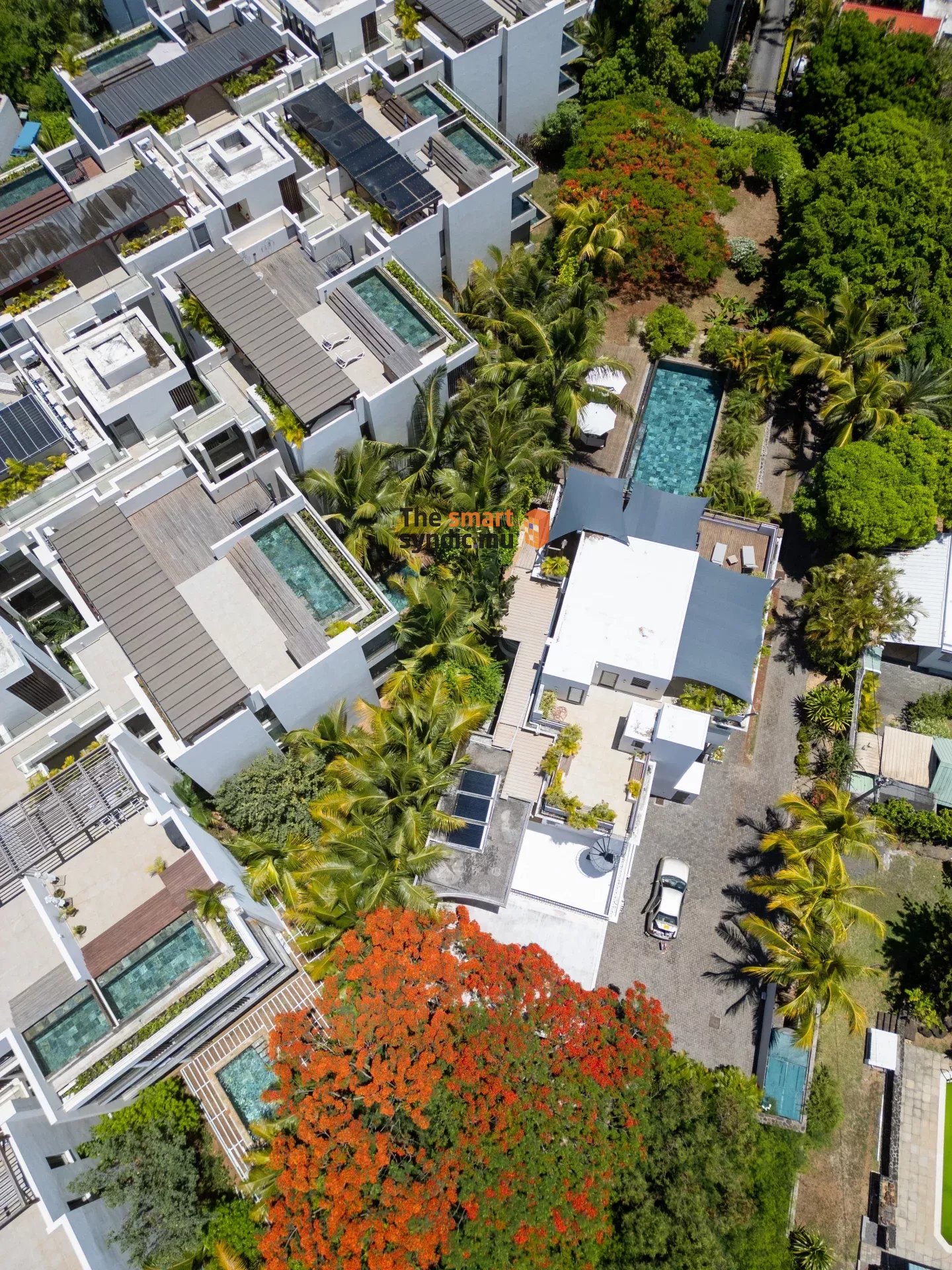 Exclusive Apartment: Peace and Security